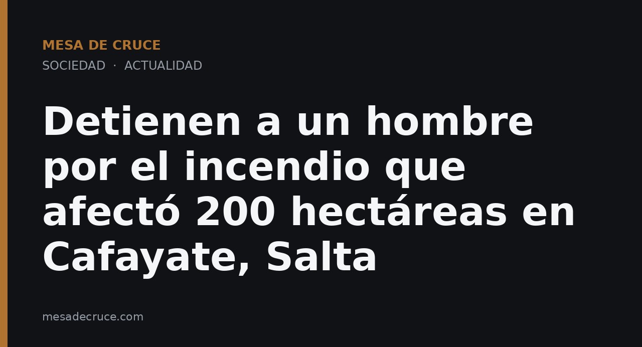 Detienen a un hombre por el incendio que afectó 200 hectáreas en Cafayate, Salta