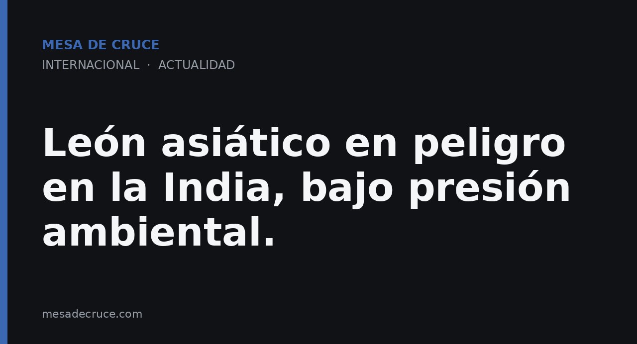 León asiático en peligro en la India, bajo presión ambiental.
