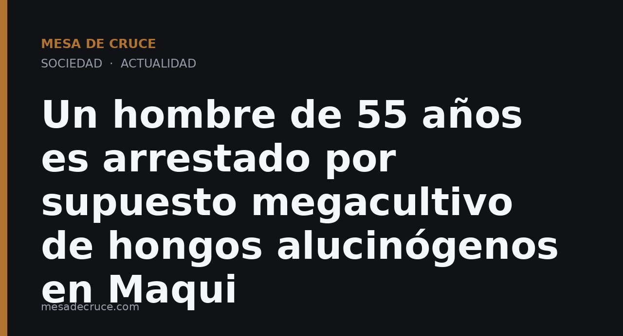 Un hombre de 55 años es arrestado por supuesto megacultivo de hongos alucinógenos en Maqui