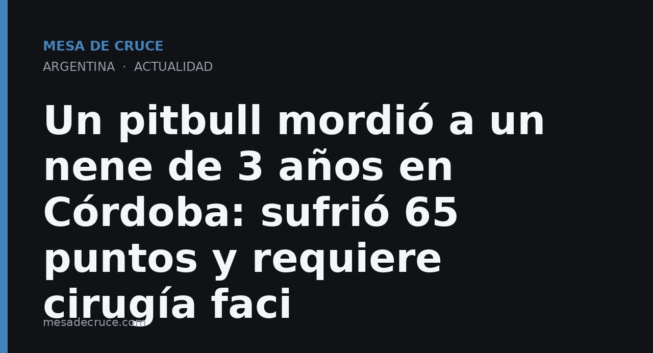 Un pitbull mordió a un nene de 3 años en Córdoba: sufrió 65 puntos y requiere cirugía faci